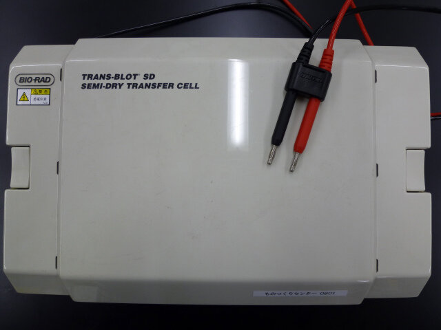 転写装置 Trans-Blot SD Semi-Dry Transfer Cell