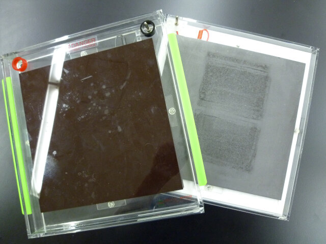 転写装置 Trans-Blot SD Semi-Dry Transfer Cell