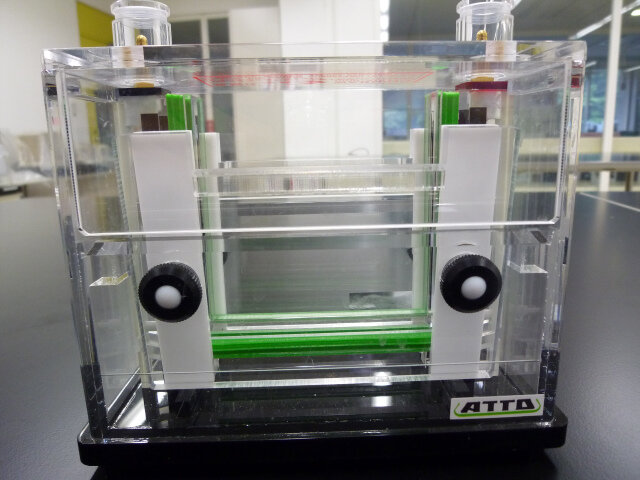 電気泳動槽 Slab Electrophoresis Chamber（ミニスラブサイズゲル用）