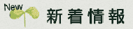 新着情報